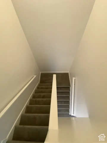 Carpeted staircase with white handrails and painted walls