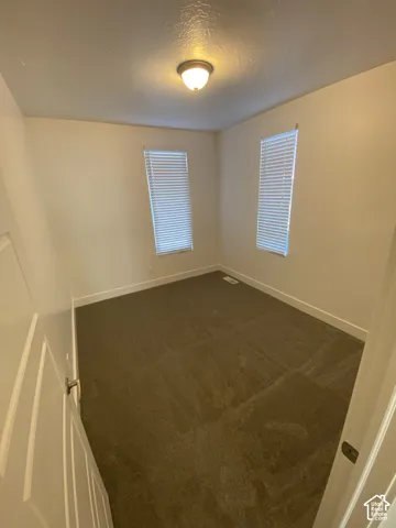 Neutral wall paint, carpet flooring, two windows with blinds, and an overhead light fixture