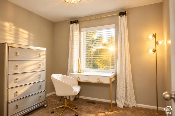 Recessed window with blinds, carpeted flooring, and a ceiling-mounted light fixture