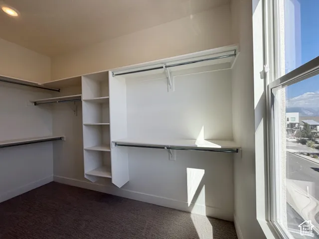 Expansive walk-in closet featuring built-in shelving, multiple hanging rods, durable carpet flooring, and a large window