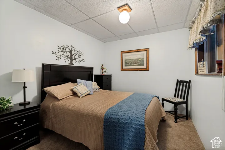 Basement Bedroom 2 with carpet.