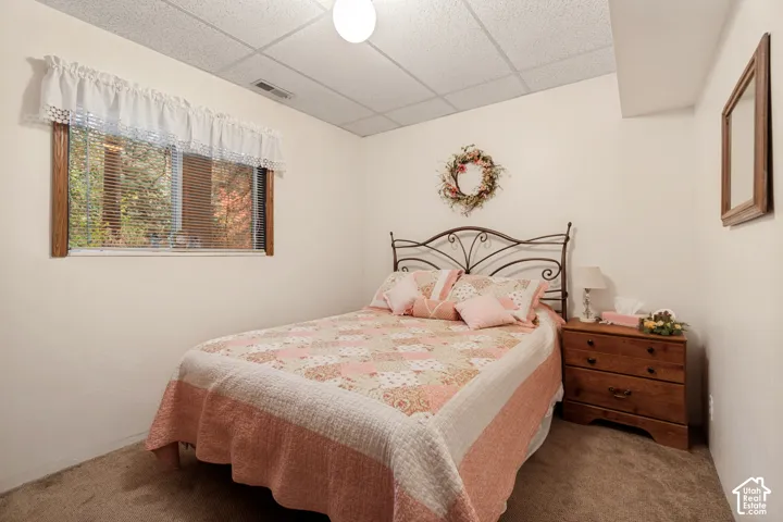 Basement Bedroom 3 with carpet