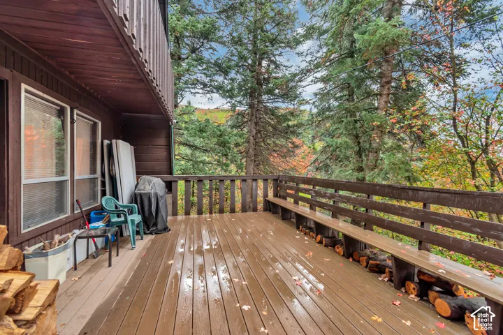 Large Deck