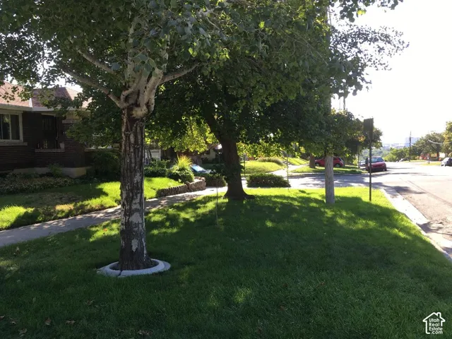 Expansive front yard featuring a manicured lawn, mature trees, and a concrete walkway