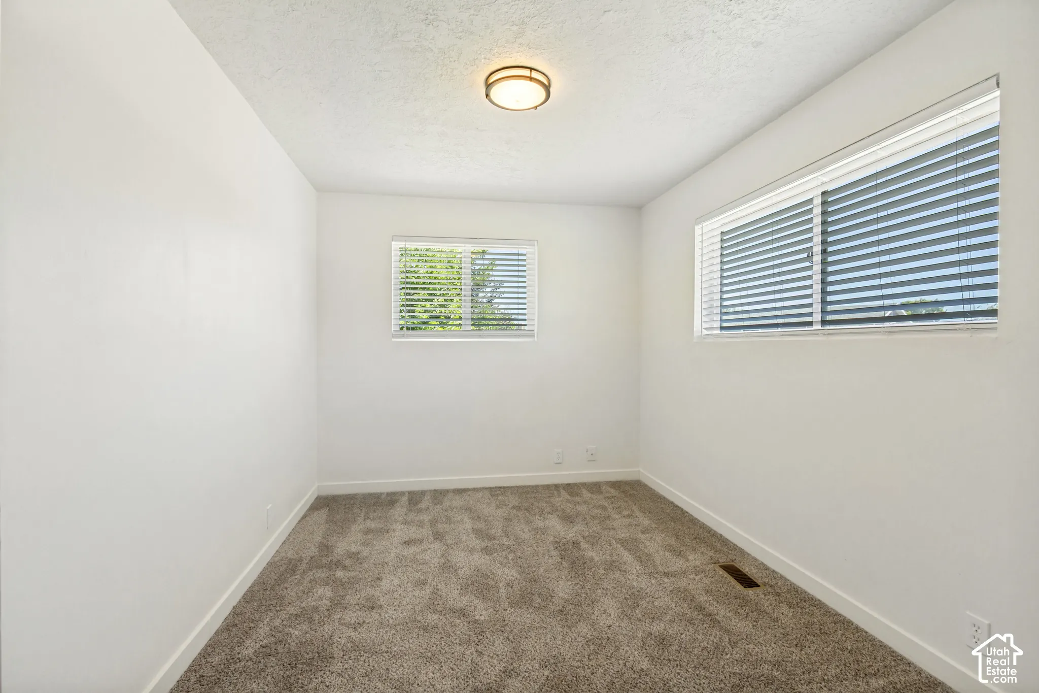 Neutral wall finishes, recessed lighting fixture, two windows with blinds, and carpeted flooring