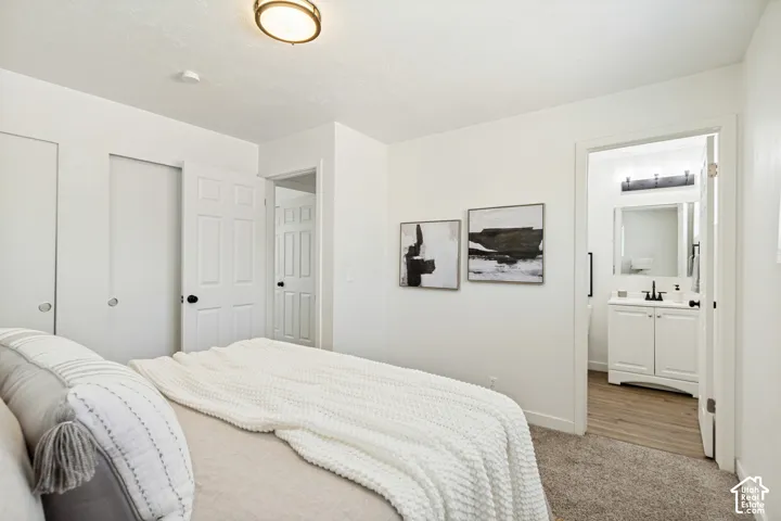 Plush carpeted flooring, white paneled doors, and a ceiling-mounted light fixture