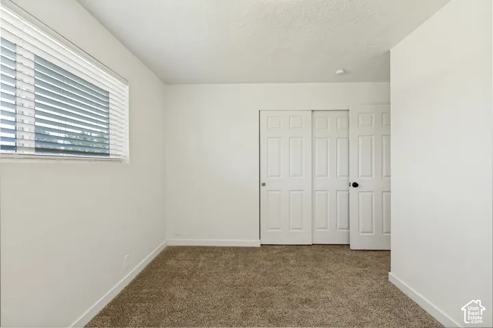 Neutral wall paint, textured carpet flooring, window with horizontal blinds, and paneled sliding closet doors