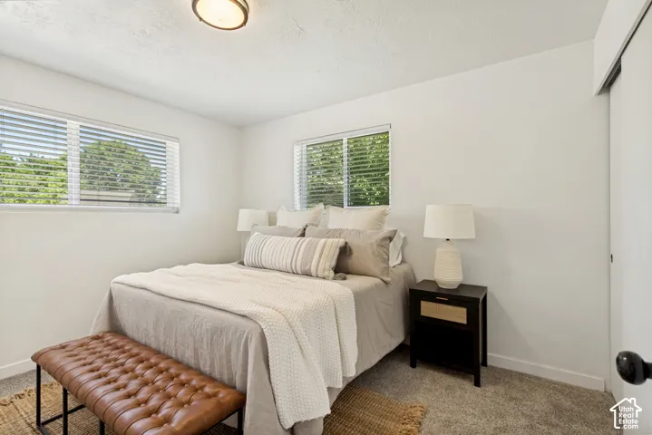 Wall-to-wall carpeting and white walls