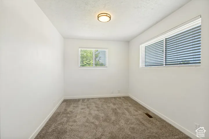 Neutral wall finishes, recessed lighting fixture, two windows with blinds, and carpeted flooring