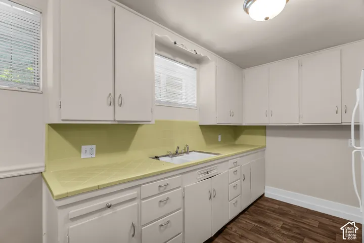 White cabinetry with silver-tone hardware, a double basin sink, light-toned backsplash, and wood-finish flooring