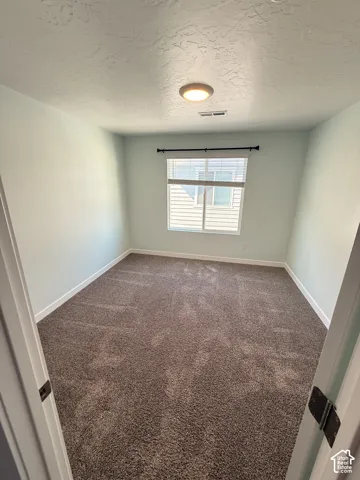 Wall-to-wall carpeting, window with blinds, ceiling-mounted light fixture, and textured ceiling