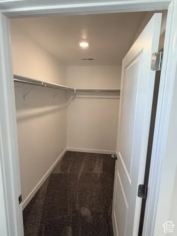 Walk-in closet with carpet flooring, recessed lighting, and integrated shelving