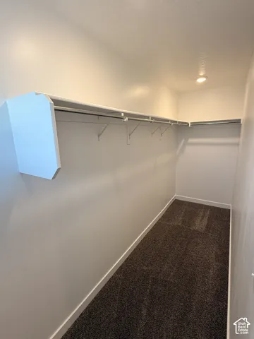 Walk-in closet with carpet flooring, recessed lighting, and built-in shelving