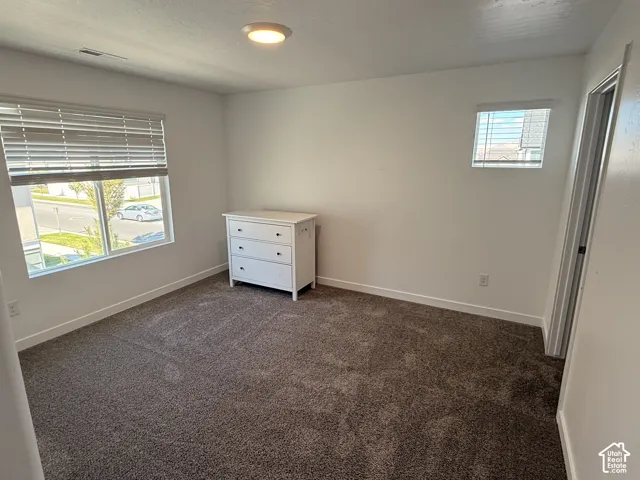 Textured carpet flooring, neutral paint palette, flush-mount ceiling light, and multiple windows
