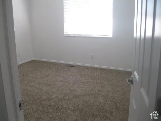 Neutral wall finishes, textured carpeting, and a window with horizontal blinds
