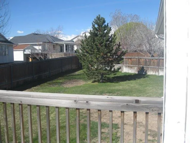 Expansive backyard featuring a central evergreen tree, partial lawn, and wood privacy fencing