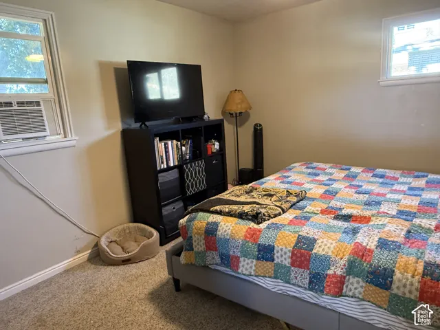 Carpeted flooring, neutral wall tones, and two windows providing natural light