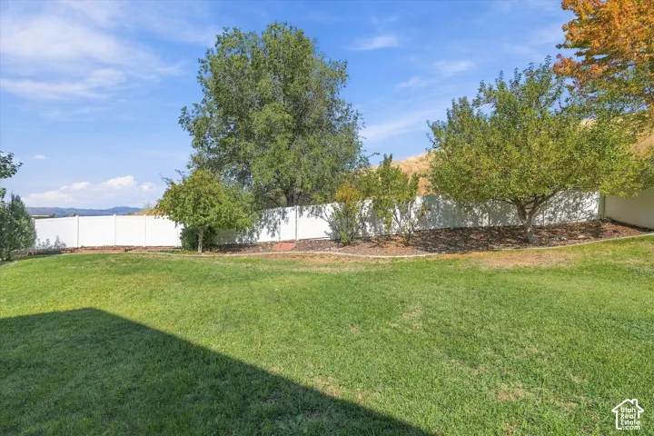 Expansive lawn area with a white privacy fence, mature trees, and landscaped planting beds