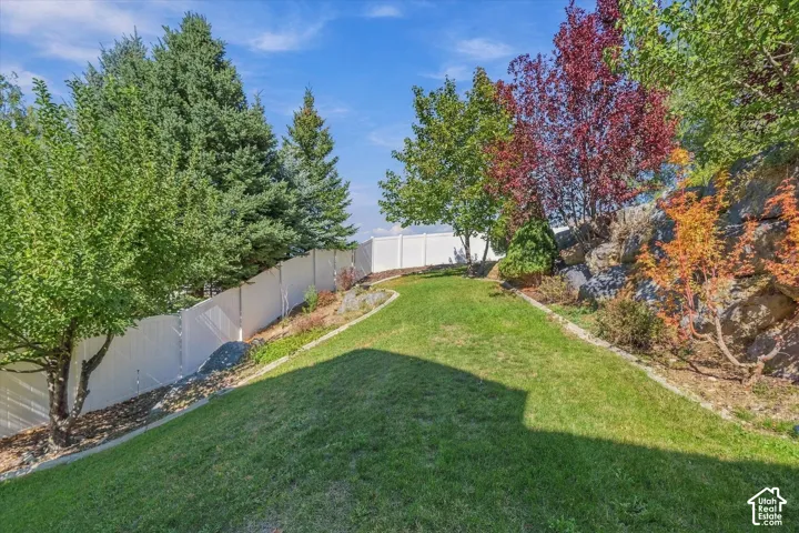 Expansive sloped lawn area, mature evergreen trees, colorful deciduous trees, white privacy fencing, natural rock landscaping