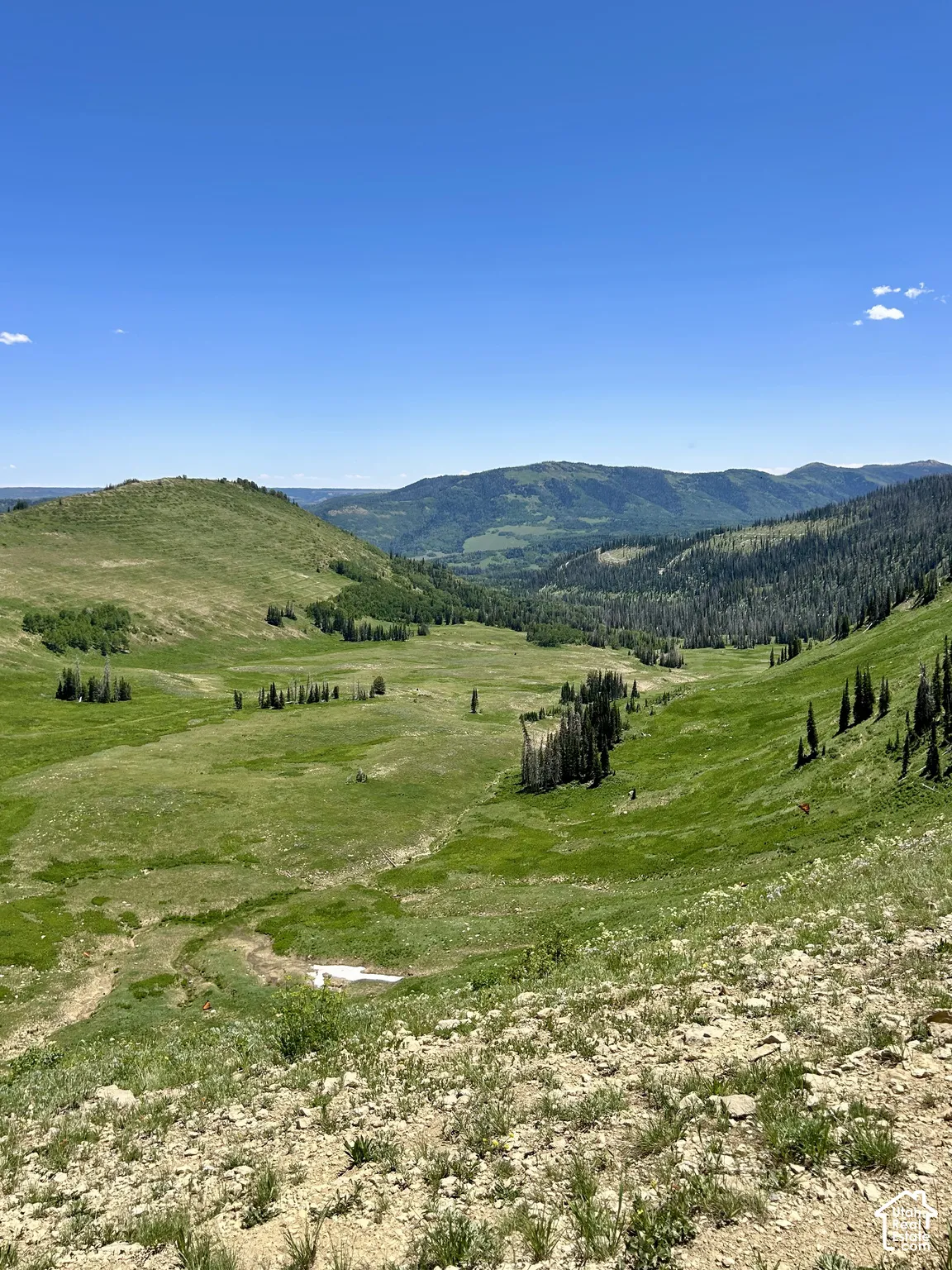 Expansive rolling hills and a valley landscape, featuring abundant green foliage and distant mountain ranges