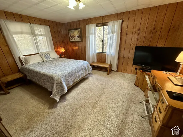 Wood-paneled room featuring a carpeted floor, multiple windows, and a ceiling-mounted light fixture