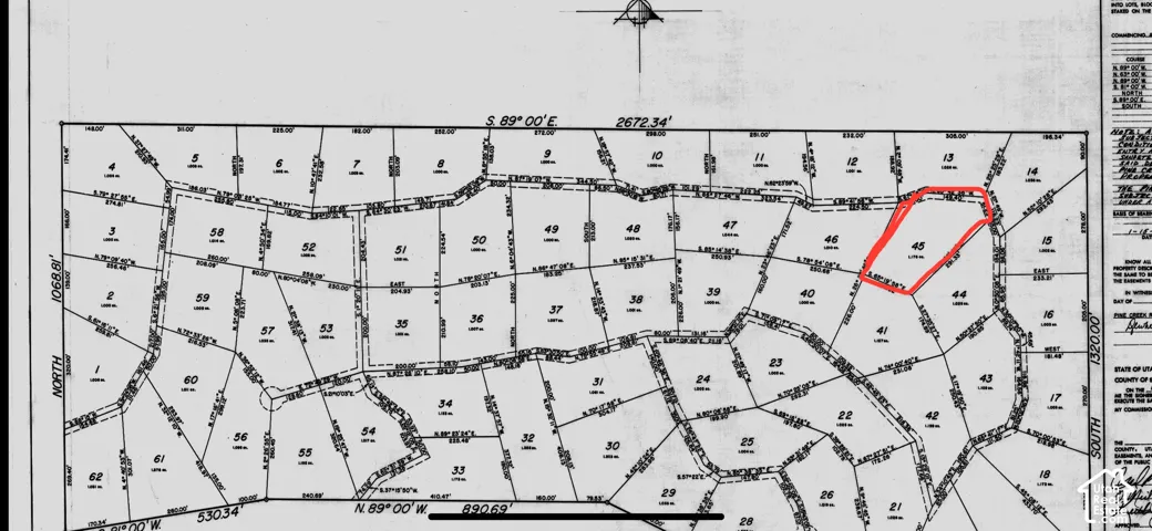 Survey Map. Depicting the subdivision of a land parcel into numbered lots, with lot 45 highlighted