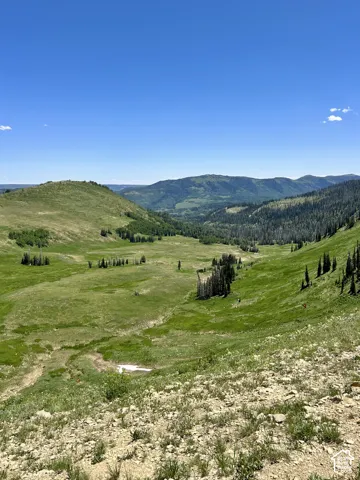 Expansive rolling hills and a valley landscape, featuring abundant green foliage and distant mountain ranges