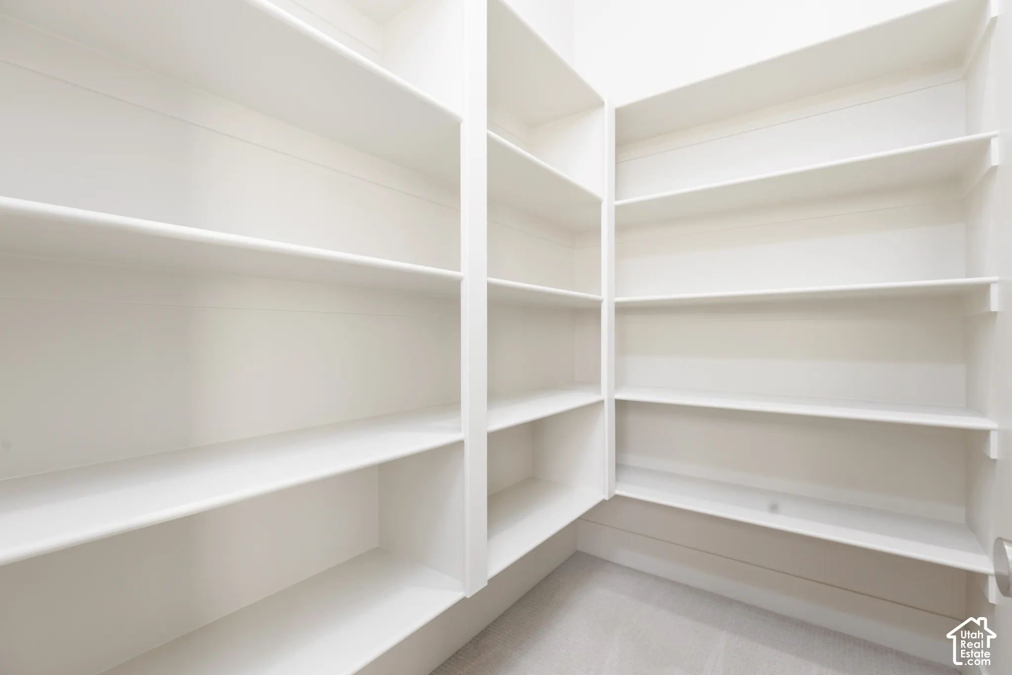Built-in shelving with light finish and ample storage capacity