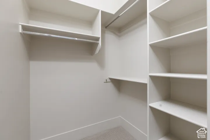Built-in shelving, hanging rods, and carpet flooring