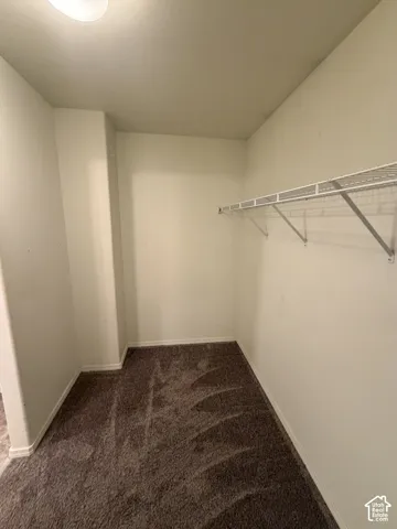 Recessed ceiling light, wall-to-wall carpeting, and wire shelving