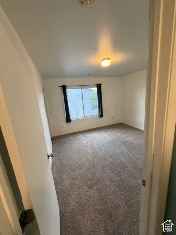 Wall-to-wall carpeting and a window with blinds