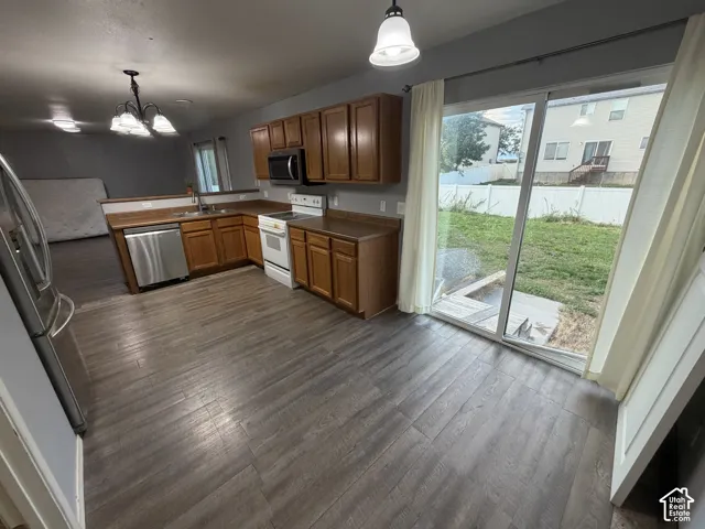 Kitchen featuring wood-finish flooring, wood cabinetry, stainless steel dishwasher, and a built-in microwave