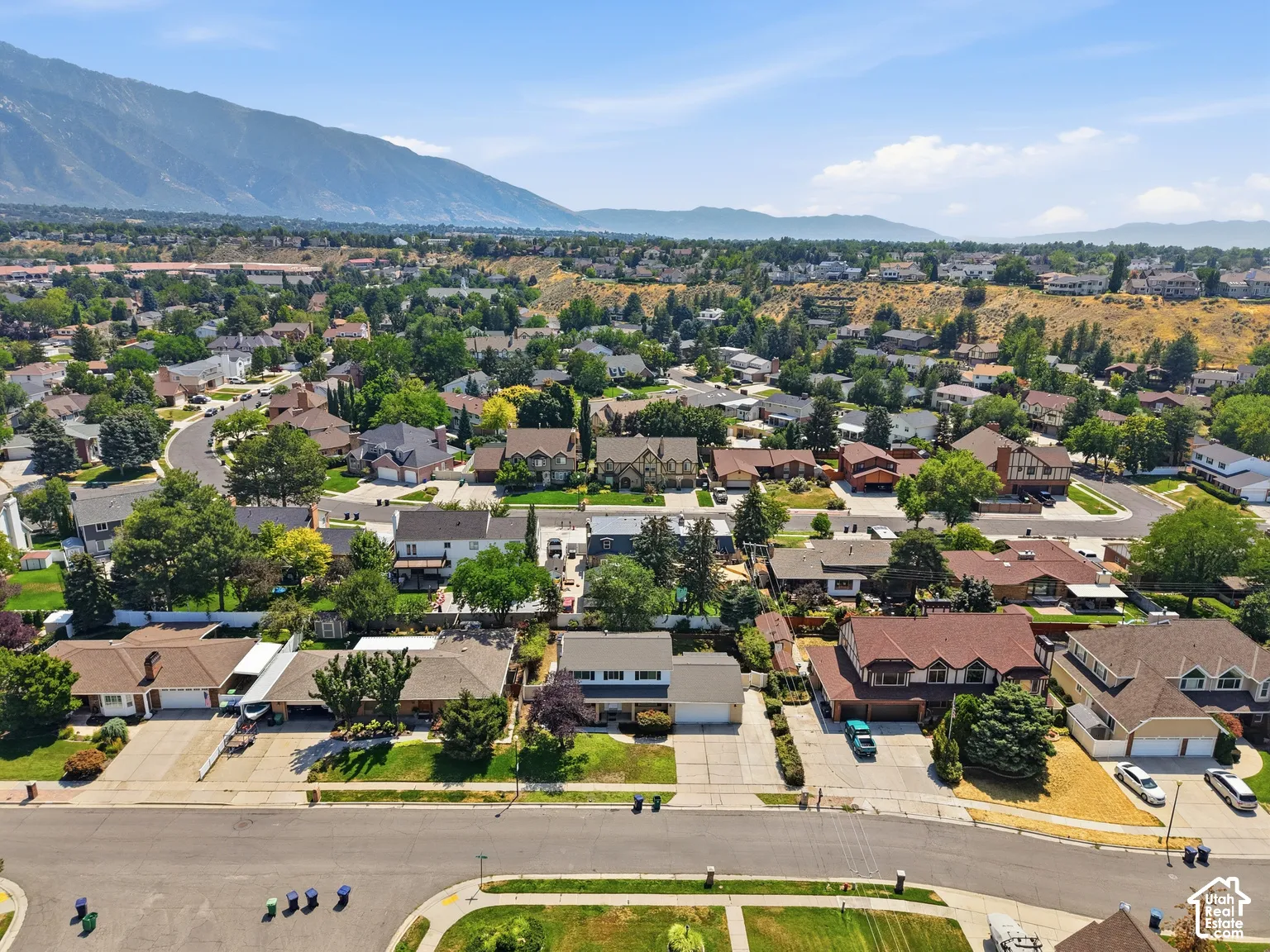 Residential neighborhood featuring mature trees and mountain backdrops