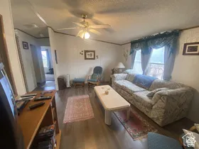 Wood-finish flooring with a ceiling fan light fixture