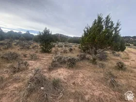 Expansive land featuring natural terrain with varied vegetation and distant rock formations