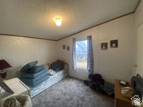 Textured wall panels with wood trim, gray carpeting, and a window with curtains