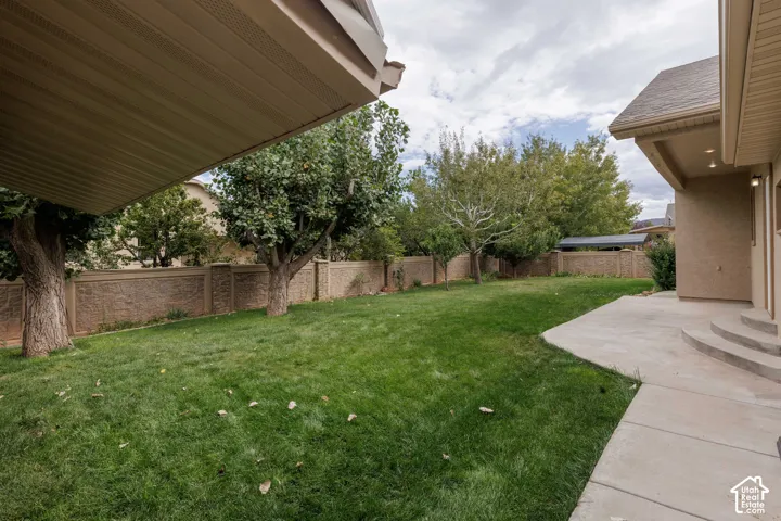 Expansive backyard with a manicured lawn, established trees, privacy wall, and concrete patio with curved steps