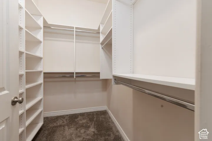 Primary bedroon walk-in closet with built-in white shelving, integrated hanging rods, and carpeting