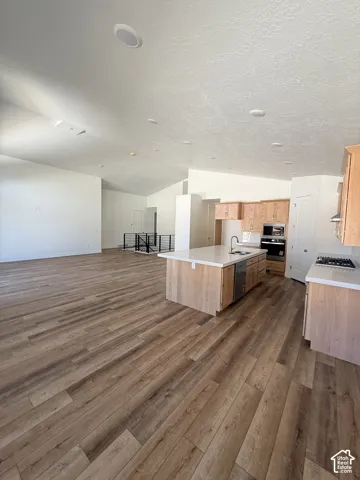 Vaulted ceilings with recessed lighting, wood-finish flooring, kitchen island with integrated sink, light wood cabinetry, and stainless steel dishwasher