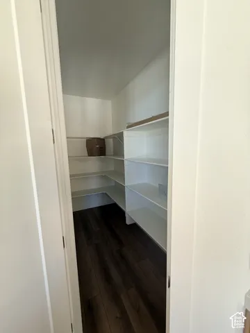 Walk-in pantry featuring abundant built-in shelving, dark wood-finish flooring, and light-toned wall finishes