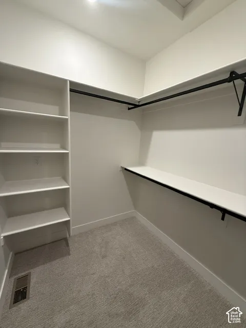 Walk-in closet featuring built-in shelving, integrated hanging rods, and neutral-toned carpeting