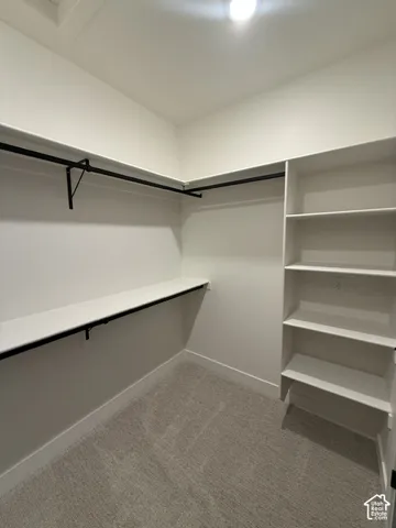 Built-in shelving, hanging rods, recessed lighting, and carpeting