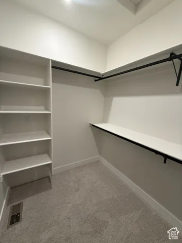 Walk-in closet featuring built-in shelving, integrated hanging rods, and neutral-toned carpeting