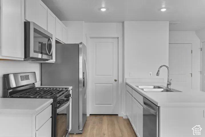 Modern kitchen featuring stainless steel appliances, white cabinetry, a double basin sink, and wood-finish flooring