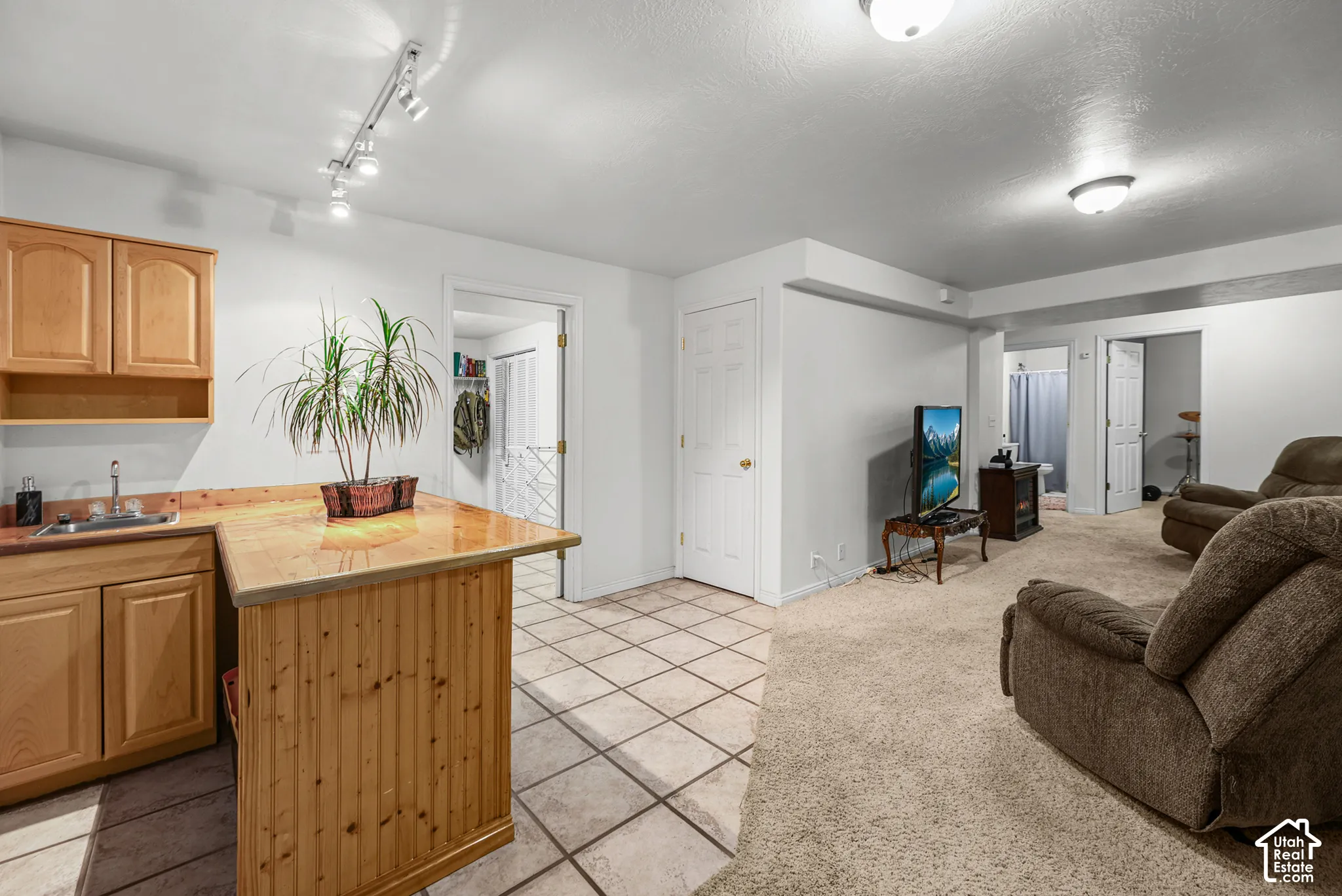 Kitchenette with wood cabinetry, stainless steel sink, and wood-finish countertop