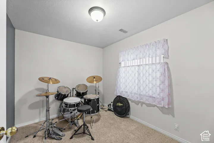 Recessed window with white blinds and sheer curtains, overhead flush-mount light fixture, and neutral-toned wall-to-wall carpeting