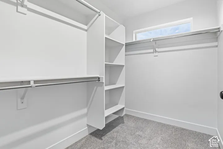 Walk-in closet featuring white built-in shelving, multiple hanging rods, a transom window, and gray carpeting