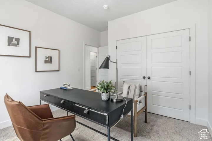 Carpeted flooring, white interior walls, and contemporary paneled closet doors