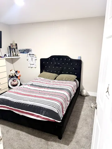 Wall-to-wall carpeting with light-toned walls and a white paneled door