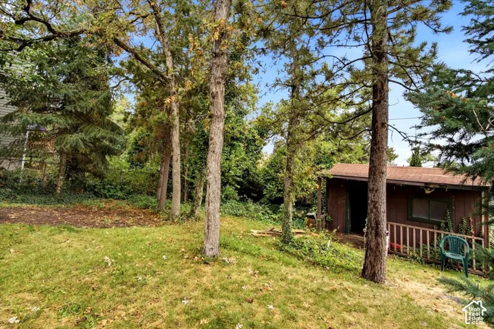 Expansive natural landscaping with mature trees and a detached shed featuring a wood-panel exterior and a small porch